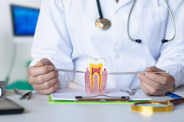 Best Emergency Tooth Extraction in Cross Plains, TX